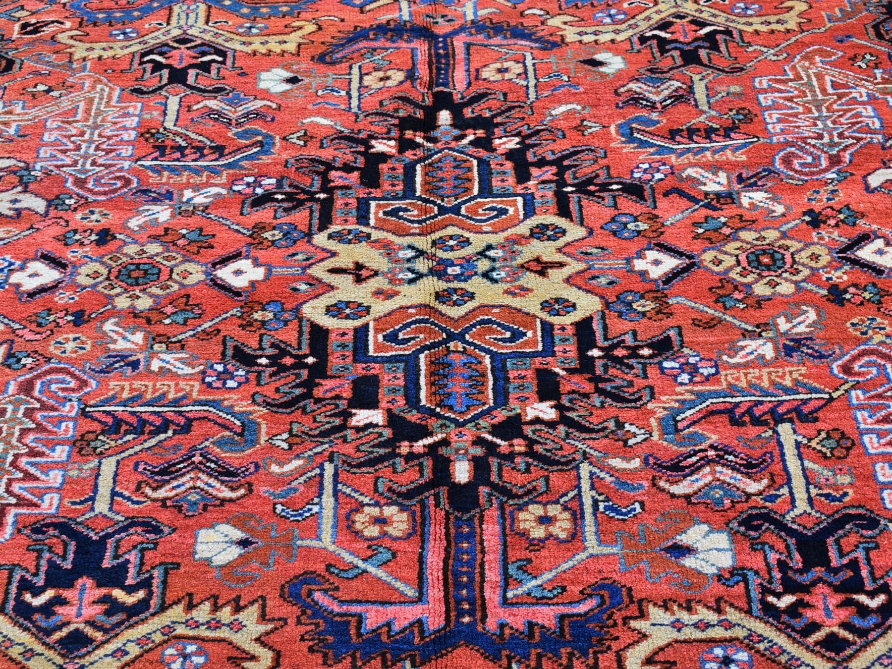 HerizRugs ORC538821